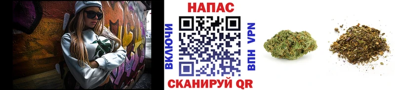 Бошки Шишки Ganja Кузнецк